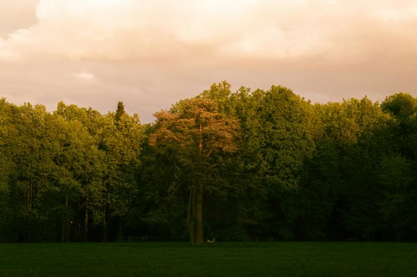 Comment choisir son dentiste ?