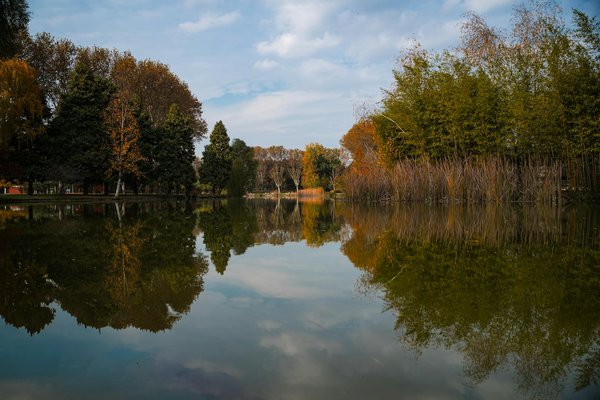 Conseils nutritionnels pour accompagner vos exercices minceur